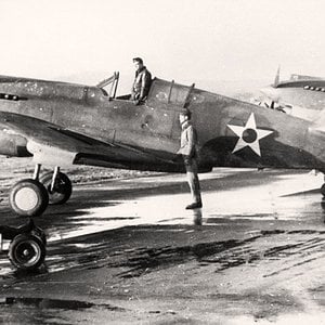 Curtiss P-40 of the 33rd Fighter Squadron 1941
