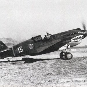 Curtiss Hawk 81 A, White 13,  AVG.