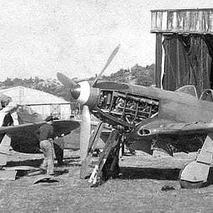 Yak-3s of the  Normandie-Niemen regiment.
