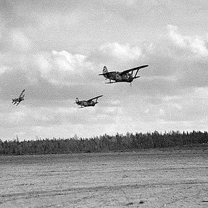 Polikarpov I-153s at flight