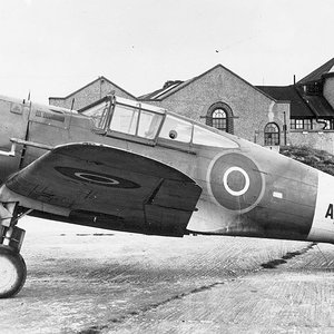 Curtiss Mohawk Mk.IV AR645 (1)