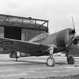 Curtiss Mohawk Mk.IV AR645 (2)