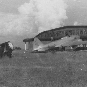 Polikarpov I-153 "Red 14" and Il-4 "Red 11"