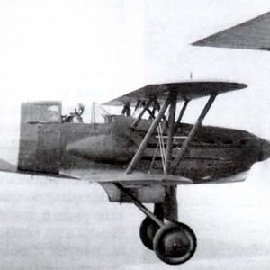 Avia B.534, Slovak AF, 1941