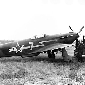 Yak-3  "White 7" of the Normandie-Niemen Regiment,  1945