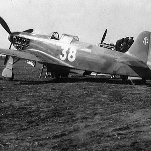 Yak-3 "White 38" of the Normandie-Niemen Regiment