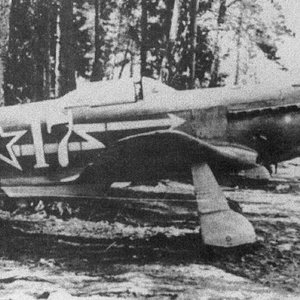 Yak-3 "White 17" of the Normandie-Niemen Regiment , 1944