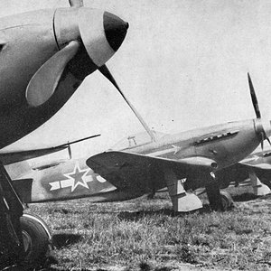 Yak-3s  of the Normandie-Niemen Regiment