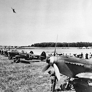 Yak-3s with the  "White 1"  of the Normandie-Niemen Regiment