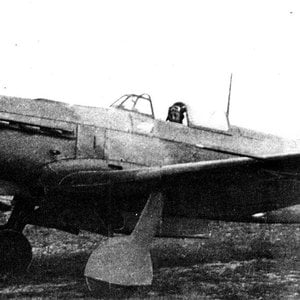 Yak-9D of the Normandie-Niemen Regiment.