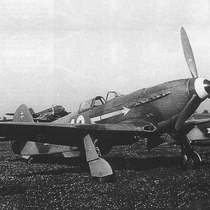 Yak-3 , the Normandie-Niemen Regiment