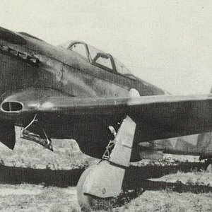 A French Yak-3 of the Normandie-Niemen Regiment