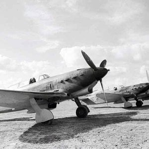 Yak-7a, 12 GIAP, 1942 (5)