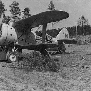Polikarpov I-153 "Red 14" (2a)