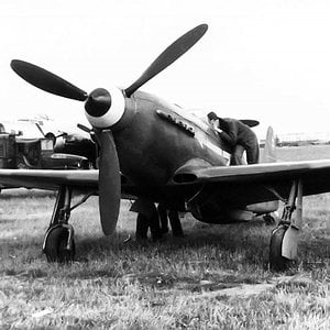 Yak-3, the  Normandie-Niemen Regiment.