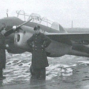 PWS 33/II Wyżeł, the prototype (2)