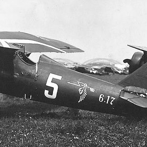 PZL P-7a "White 5" and "White 1" of the 121 Squadron.