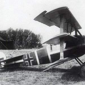 Fokker Dr.I 574/17