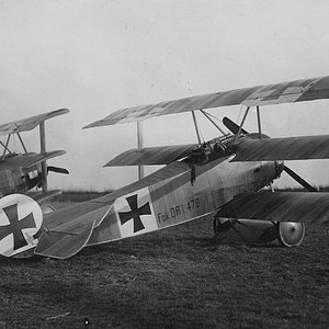 Fokker Dr.I 479/17