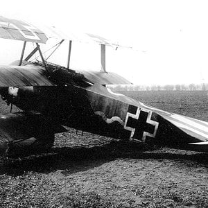 Fokker Dr.I 595/17,  Jasta 6