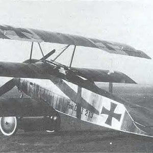 Fokker Dr.I 213/17,  Friedrich Kempf (1)