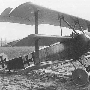 Fokker Dr.I 115/17