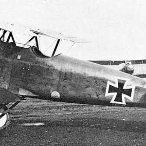 Albatros D.III OAW