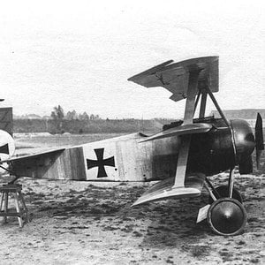 Fokker  F1.103/17, Werner Voss (2)