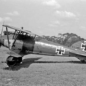 Albatros D.V D.5390/17