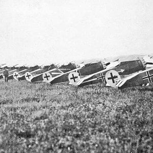 Fokker E.V/D.VIII of  Jasta 6, 1918 (1)