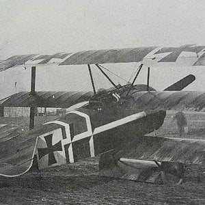 Fokker Dr.I of Jasta 14
