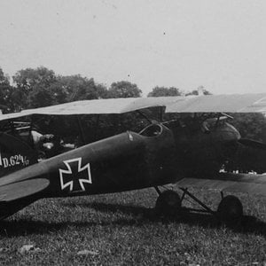 Albatros D.III  D.624/17