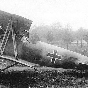 Pfalz D.XII no. 2600/18