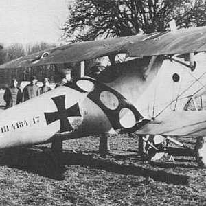 Pfalz D.III no.4184/17, Jasta 15 (1)