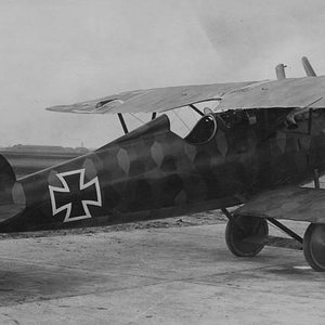 Albatros D.V prototype ( side view )