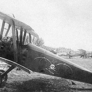 Sopwith Camel in Russia