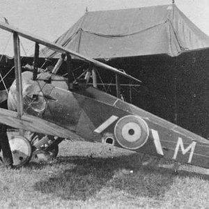 Sopwith Camel , 43 Squadron