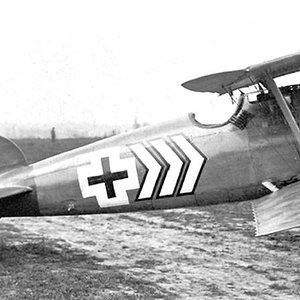 Albatros D.Va OAW,  Jasta 5,  1918