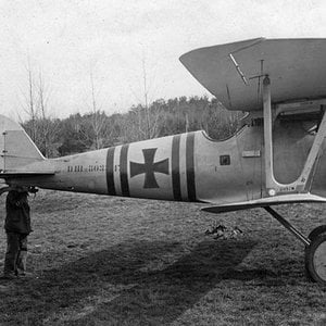Pfalz D.IIIa no. 8033/17