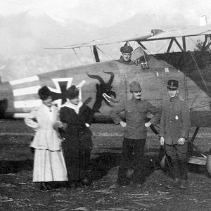 Albatros D.III OAW,  Jasta 31