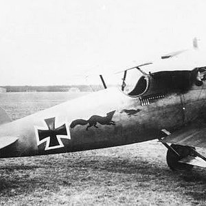 Albatros D.V,  Jasta 77