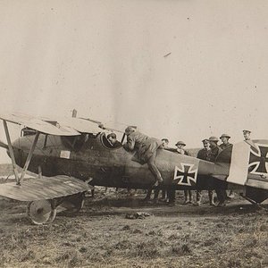 Albatros D.Va D.2359/17, Jasta 23b, France, 1918 (2)