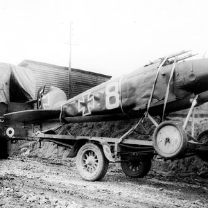 Albatros D "White 8",  captured (2)