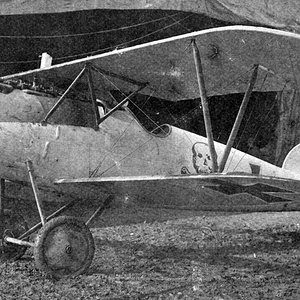 Albatros D.V OAW no D.5695/17, JASTA 65 (2)