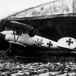Albatros D.V OAW no D.5695/17, JASTA 65 (1)