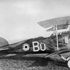 Albatros D.I  "Bü", captured (2)