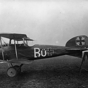 Albatros D.I  "Bü"  (1)