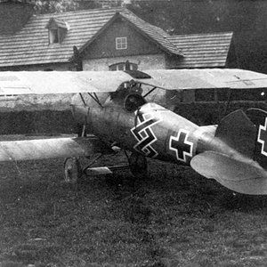 Albatros D.Va, Jasta 16b (2)