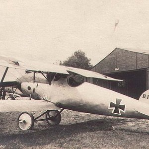 Albatros D.V no.  D.1033/17