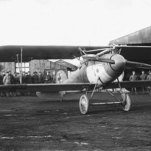 Albatros D.V no. D.5390/17,  France, 1917 (4)